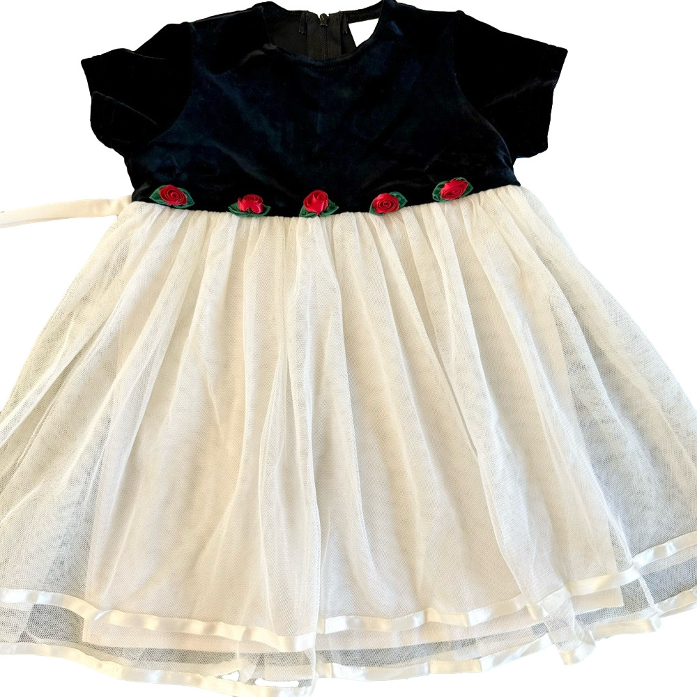 Heartstrings Baby Black Velvet & White Tule Holiday Dress 24 Months